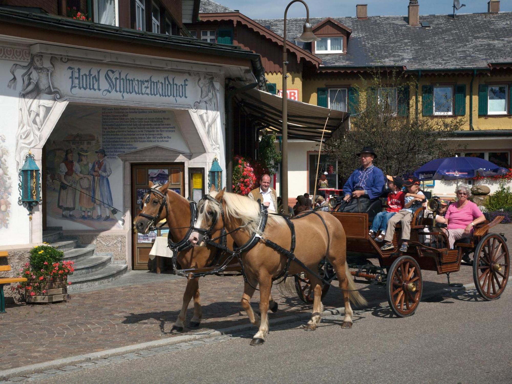 Hotel Schwarzwaldhof Hinterzarten Zewnętrze zdjęcie